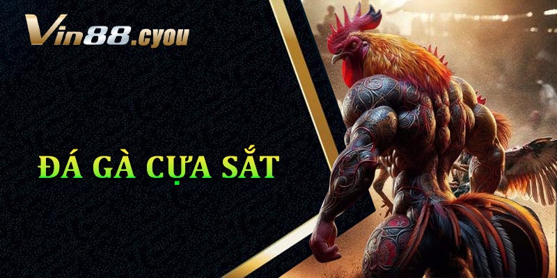 đá gà cựa sắt