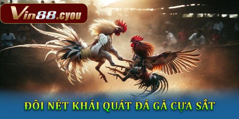 Đôi nét khái quát về loại hình cá cược đá gà cựa sắt