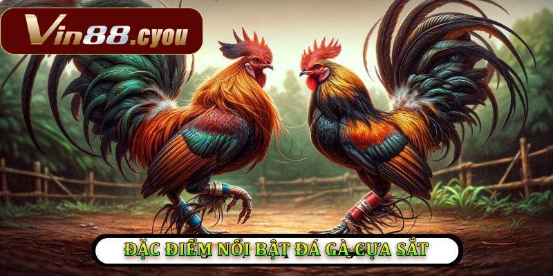 Đặc điểm nổi bật của đá gà cựa sắt tại VIN88