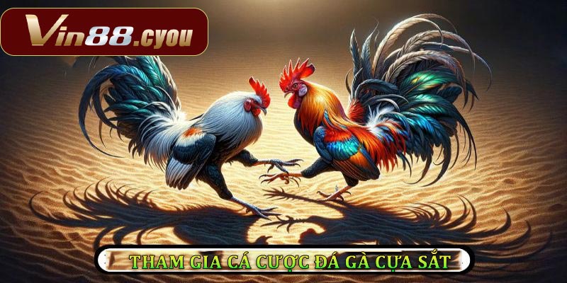 Cách tham gia vào đá gà cựa sắt trên nền tảng trực tuyến tại VIN88