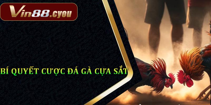 Bí quyết thắng trong đá gà cựa sắt