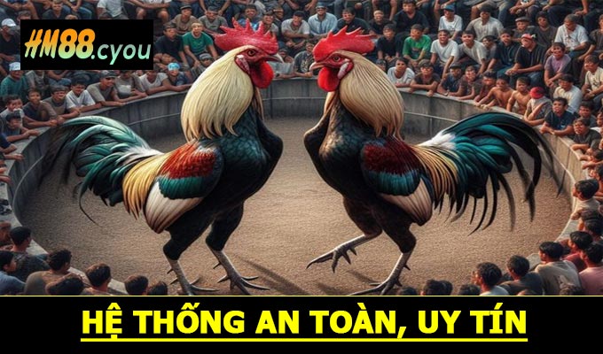 Hệ thống an toàn, uy tín