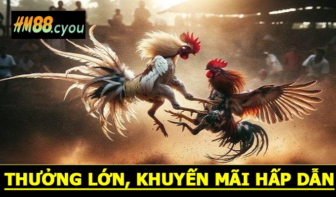 Thưởng lớn, khuyến mãi hấp dẫn